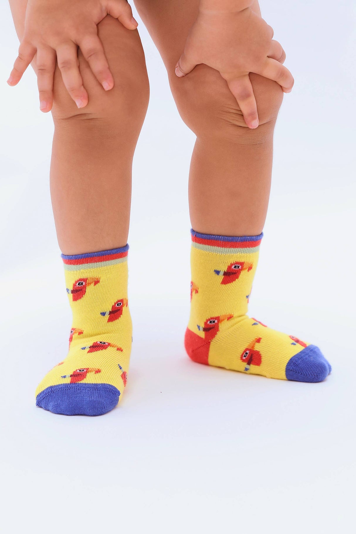 Moustard Mini Socks Zoo Giftbox Kinder Sokken 0-12 maanden Geschenkbox - 4 Paar