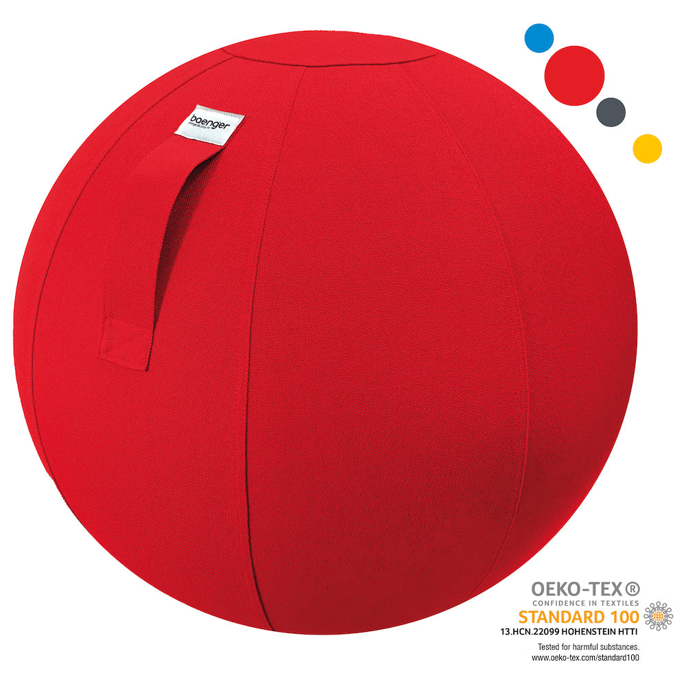 Baenger Fitness Yoga Exercise Ball Gym Bal - incl Wasbare hoes - incl pomp - Rood